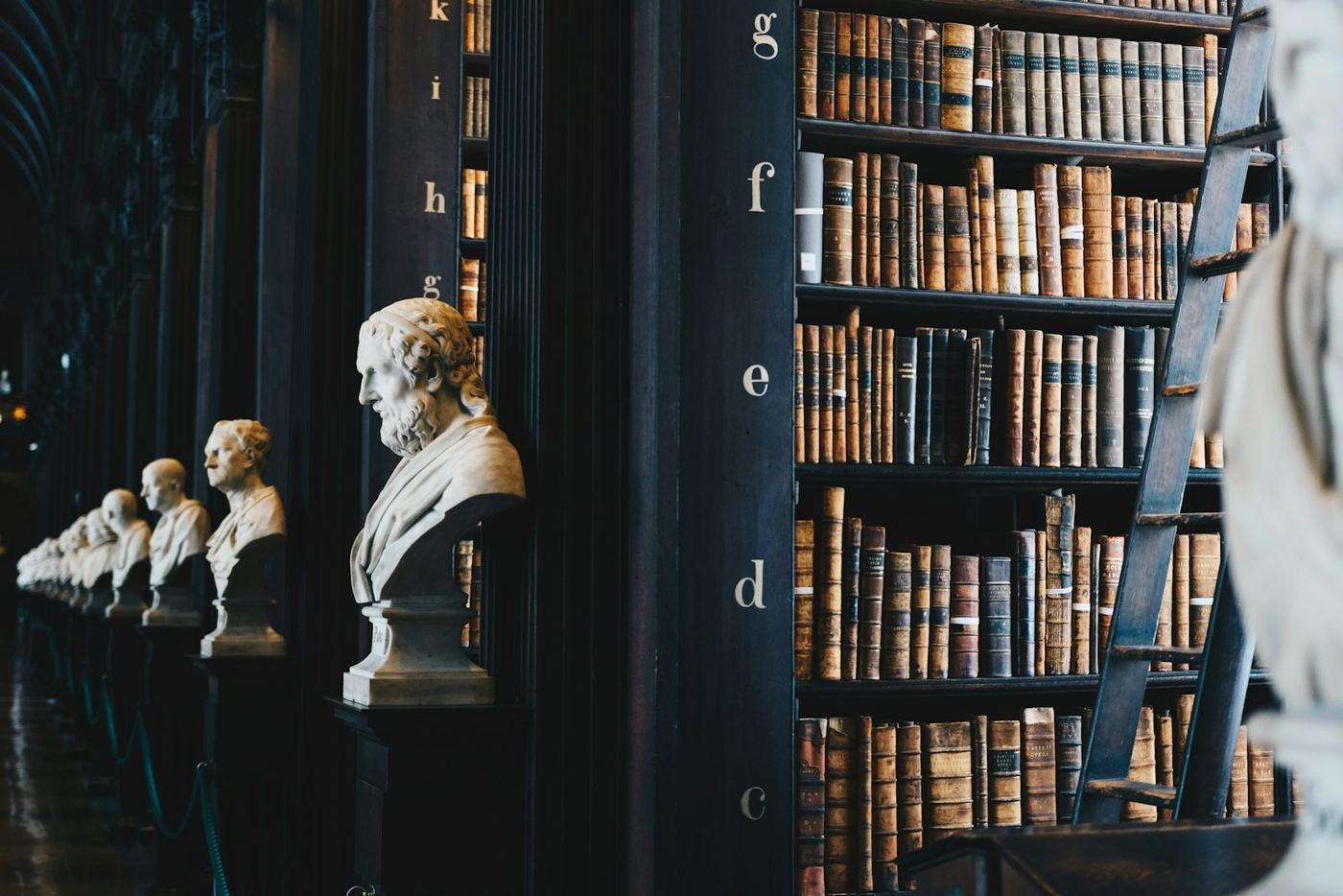 Classical marble busts in a library